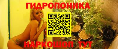 гидра Аргун