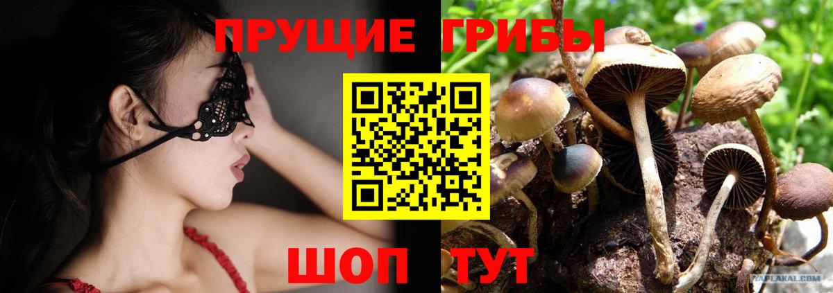 Галлюциногенные грибы Cubensis Великий Новгород