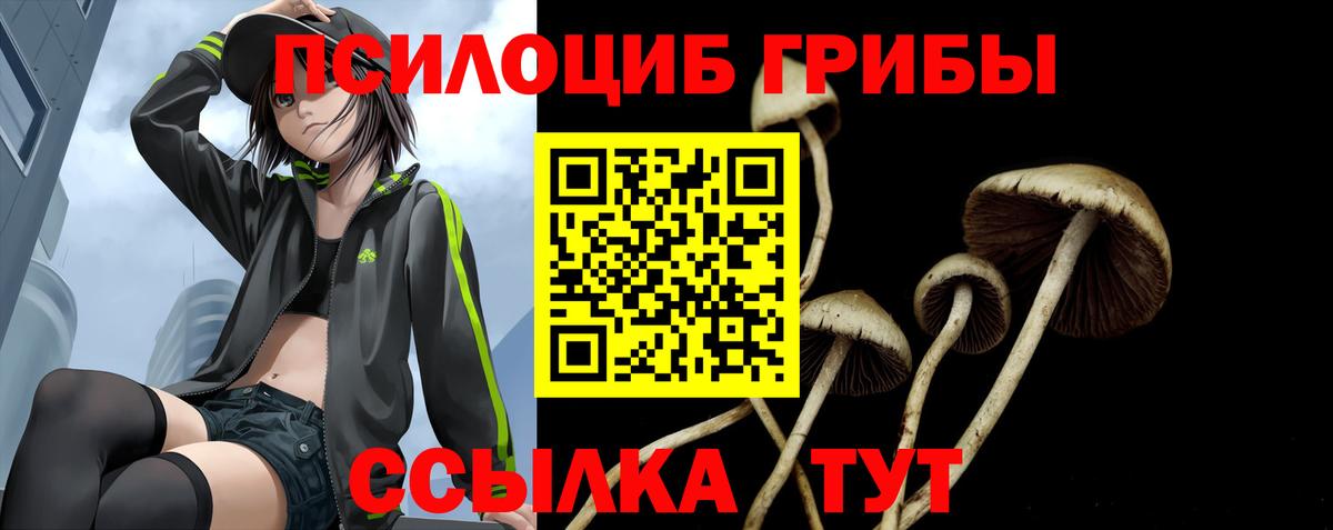 наркота  Галлюциногенные грибы Magic Shrooms  Великий Новгород  Вход с VPN  Галлюциногенные грибы Psilocybine cubensis 