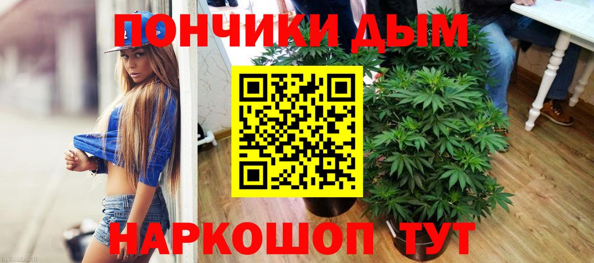 Шишки марихуана LSD WEED  Вход с VPN  Великий Новгород  Марихуана AK-47  Шишки марихуана сатива  Конопля сатива 